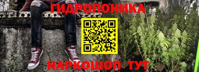 ГАЛЛЮЦИНОГЕННЫЕ ГРИБЫ Кунгур