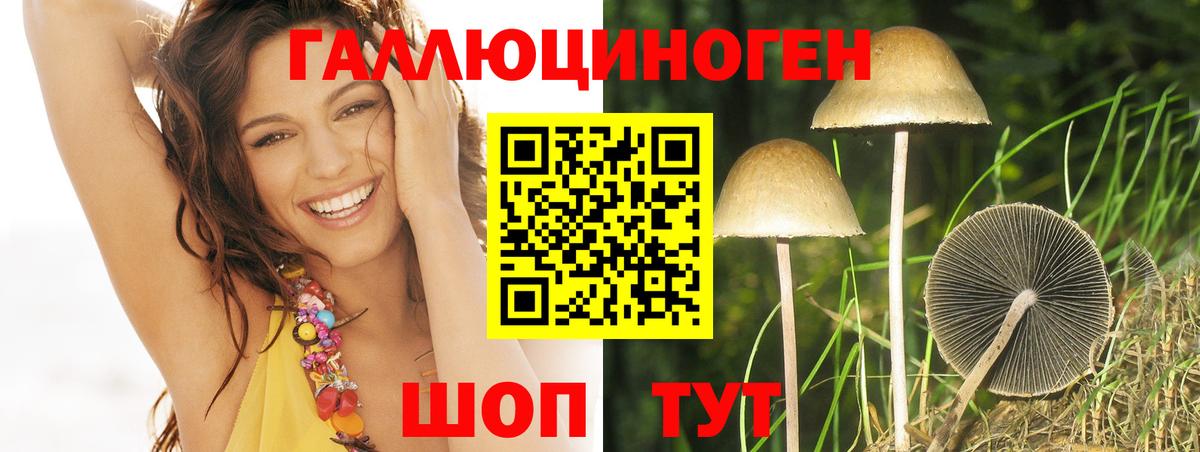 Ессентуки  Псилоцибиновые грибы MAGIC MUSHROOMS  Вход с VPN  хочу наркоту  Галлюциногенные грибы мухоморы 